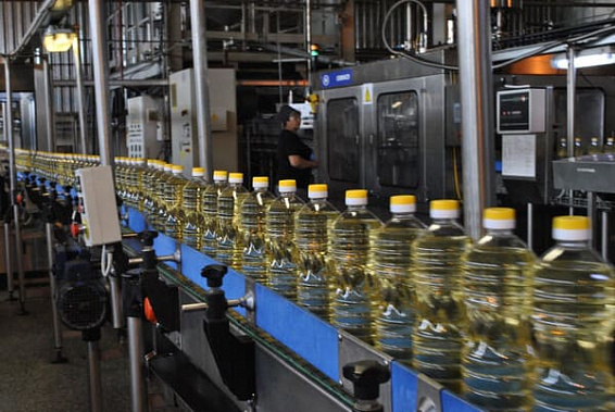 Экспорт масложировой продукции из Ростовской области увеличился почти на четверть за год