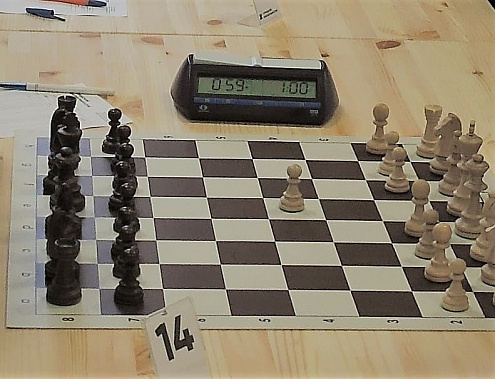 Екатерина Кирдяшкина из Волгодонска отличилась на международном турнире по шахматной композиции
