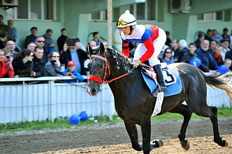 На ипподроме начали принимать ставки