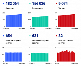 Коронавирус в Ростовской области: статистика на 10 декабря