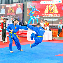 Ростовские мастера боевых искусств завоевали награды чемпионата мира