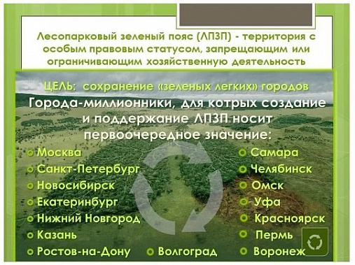 Лесопарковый пояс должен связать города Ростовской агломерации