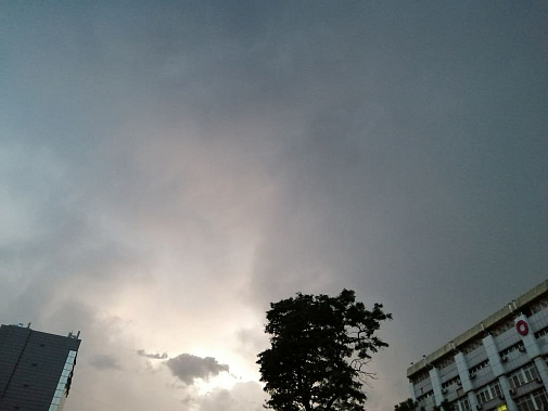 В Ростовской области ожидаются дожди с грозами и шквалистым ветром