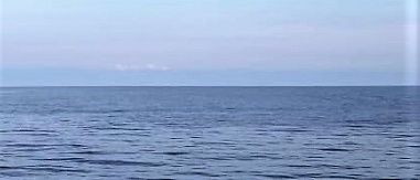 Защитить природу в любое время года!