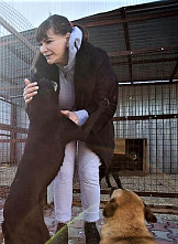 Про собак-проводников и компенсации