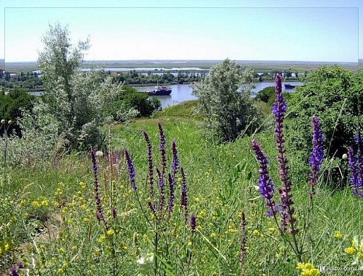 СЕЗОНЫ НА ДОНУ