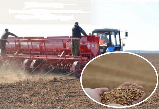 Источник фото: 