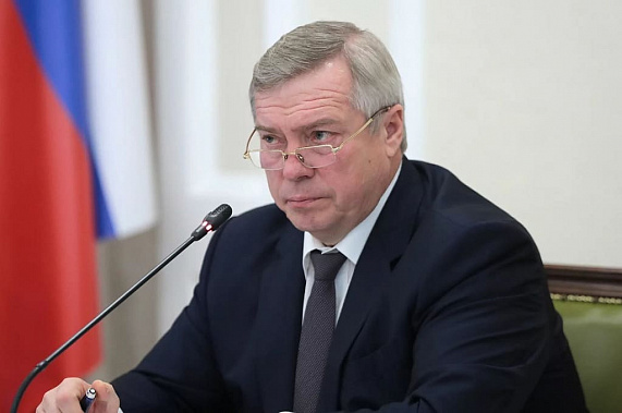 Василий Голубев вынужден ввести мониторинг работы контролирующих органов