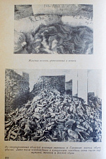 Через века, через года помните!