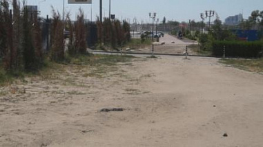Власти Ростова нашли крайнего в ситуации с зелеными насаждениями на левом берегу Дона