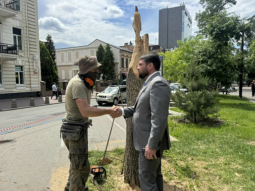 Старые деревья: жизнь после жизни…
