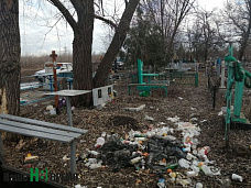 Что не показали губернатору чиновники