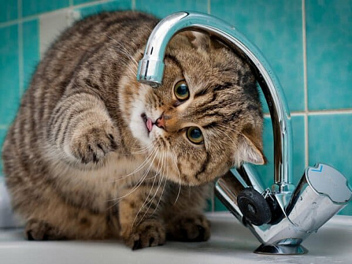 Ростовводоканал сообщает о прекращении водоснабжения в районе ТЦ «Окей» на Северном