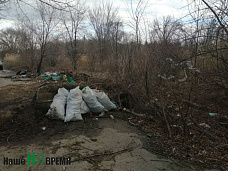 Что не показали губернатору чиновники