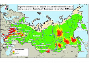 Прогноз Авиалесоохраны: в течение сентября ЮФО из-за жаркой, теплой и сухой погоды возможны риски ЧС по лесным пожарам