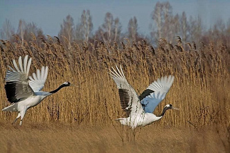 Что можно отметить в этот день