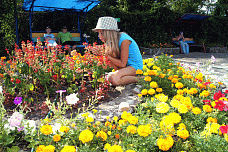 От костровой до костра_15539