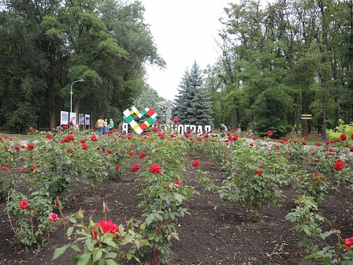 В Зернограде завершился первый этап реконструкции городского парка