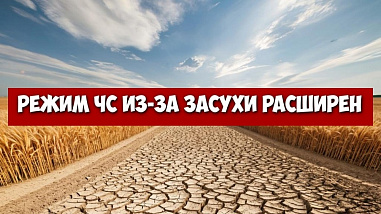 Еще один донской район стал зоной действия режима ЧС по засухе