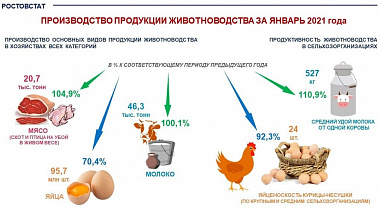 На Дону произвели на 30% меньше яиц