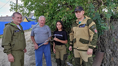 У станицы Мигулинской начали поиск бомбардировщика, разбившегося летом сорок второго