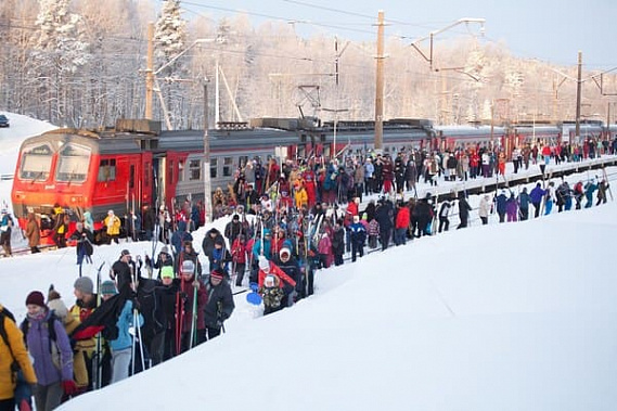 Фото сайта sutd.ru