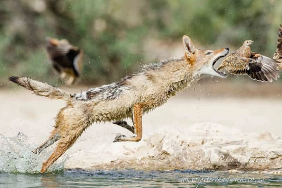 Фото сайта yandex.com