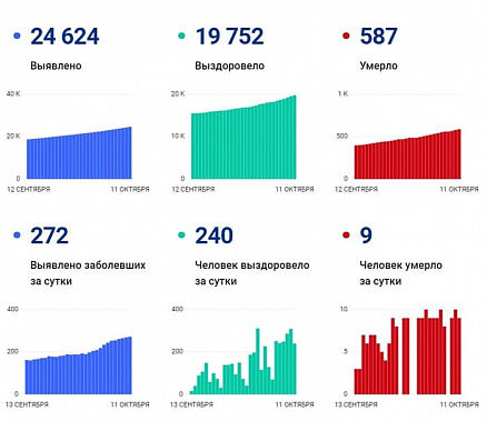 Коронавирус в Ростовской области: статистика на 11 октября