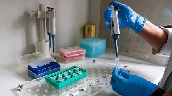 На Юге России выявлен новый штамм вируса конго-крымской геморрагической лихорадки