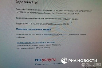 Жителей России предупреждают о возможном обмане через лже-сайт Госуслуг