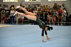 15 06 2025 В Ростове проходит турнир «Кубок олимпийского чемпиона Никиты Нагорного»