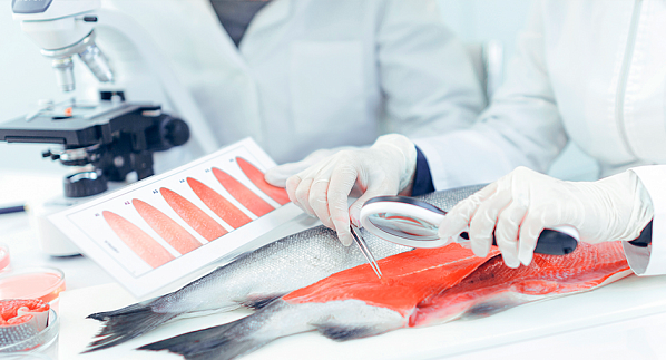 Зачем рыбке трифенилметановый «зонтик»?