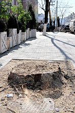 Налогоплательщик желает знать…_21386