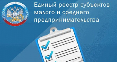 Единый реестр для получающих господдержку