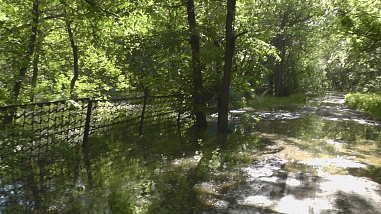 Последний дюйм?