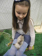 Пока читатели с нами