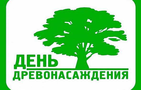 Завтра в Ростове высадят около 3 тысяч деревьев