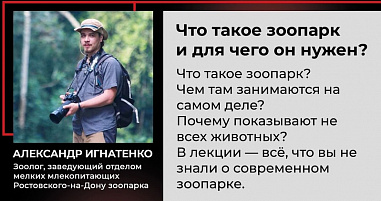 Это не только звери в клетках: в Донской публичной библиотеке расскажут, зачем нужны зоопарки