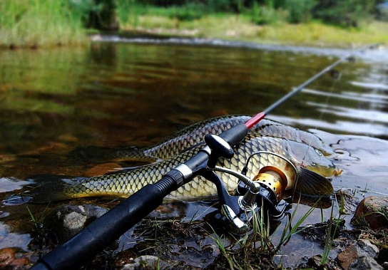 Где в Ростовской области рыбу ловить запрещено