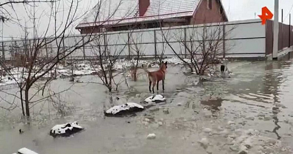 Источник фото: ren.tv