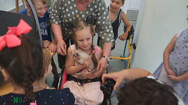 Как кошки-крошки  с друзьями встретились