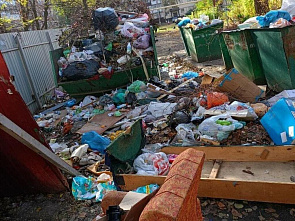 Проблема с вывозом бытового мусора продолжает волновать жителей Ростовской области