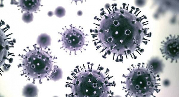 Не кормите коронавирус витаминами