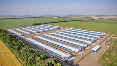 Власти донского региона требуют от «Евродона» вернуть порядка 130 млн. рублей