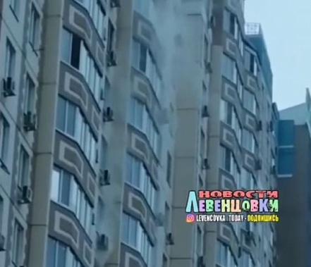 В Ростове в квартире сгорели две собачки