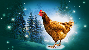 Что можно отметить в этот день