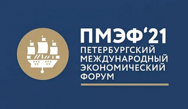В работе Петербургского экономического форума этого года участвует донская делегация