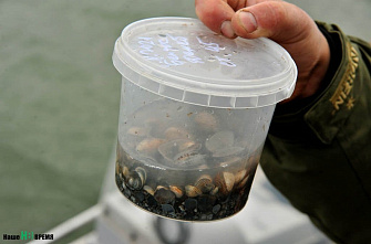 Исследовательское судно «Денеб» вернулось на базу в хутор Донской