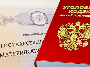 Маму из Мартыновского района осудили за мошенничество с капиталом