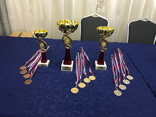 В донской столице состоится массовый турнир для детей по инклюзивным шахматам